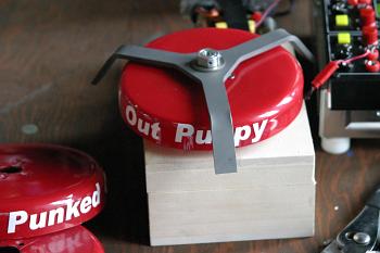 Punke Out Puppy